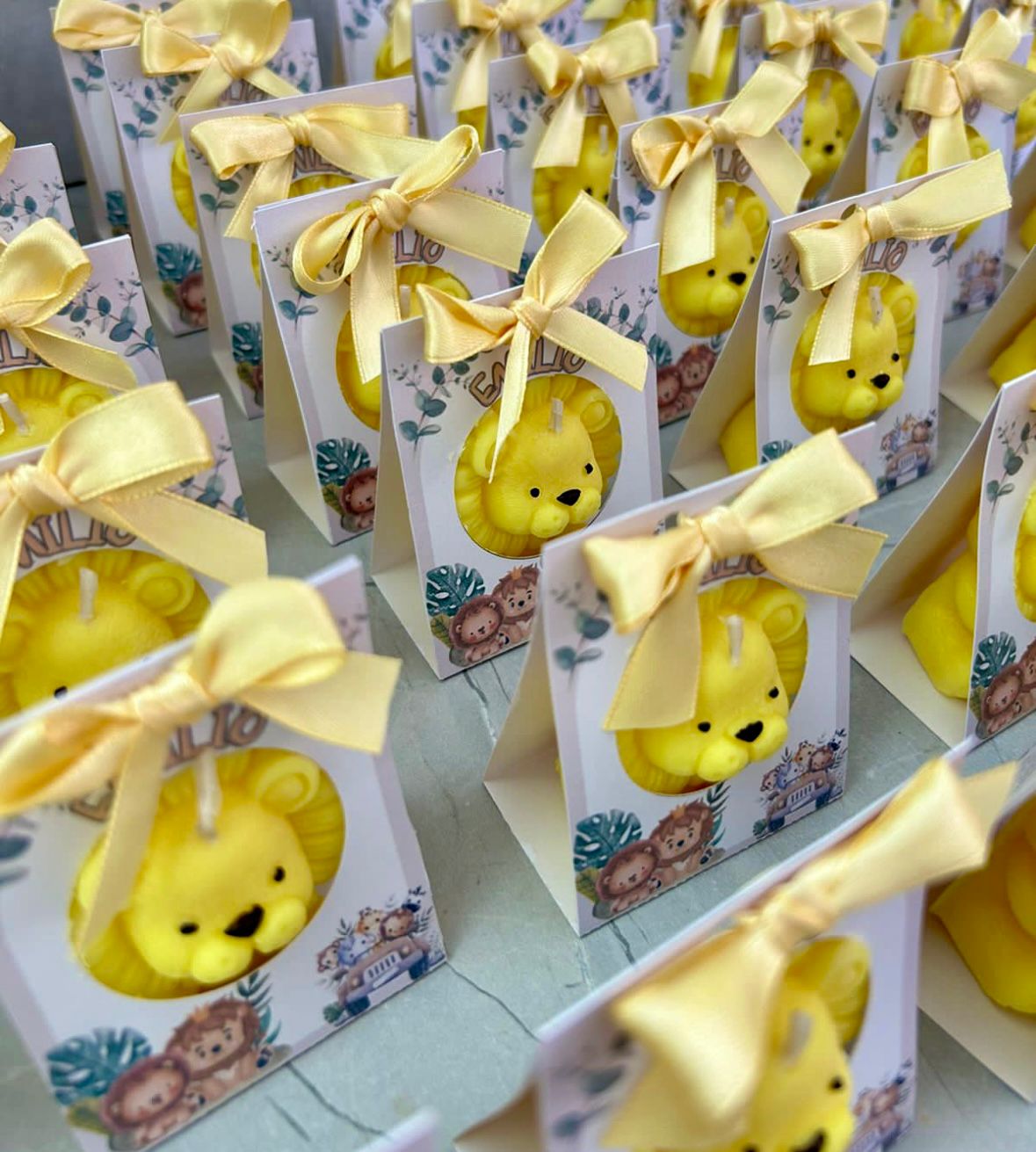 LEÓN EN CAJA PERSONALIZADO