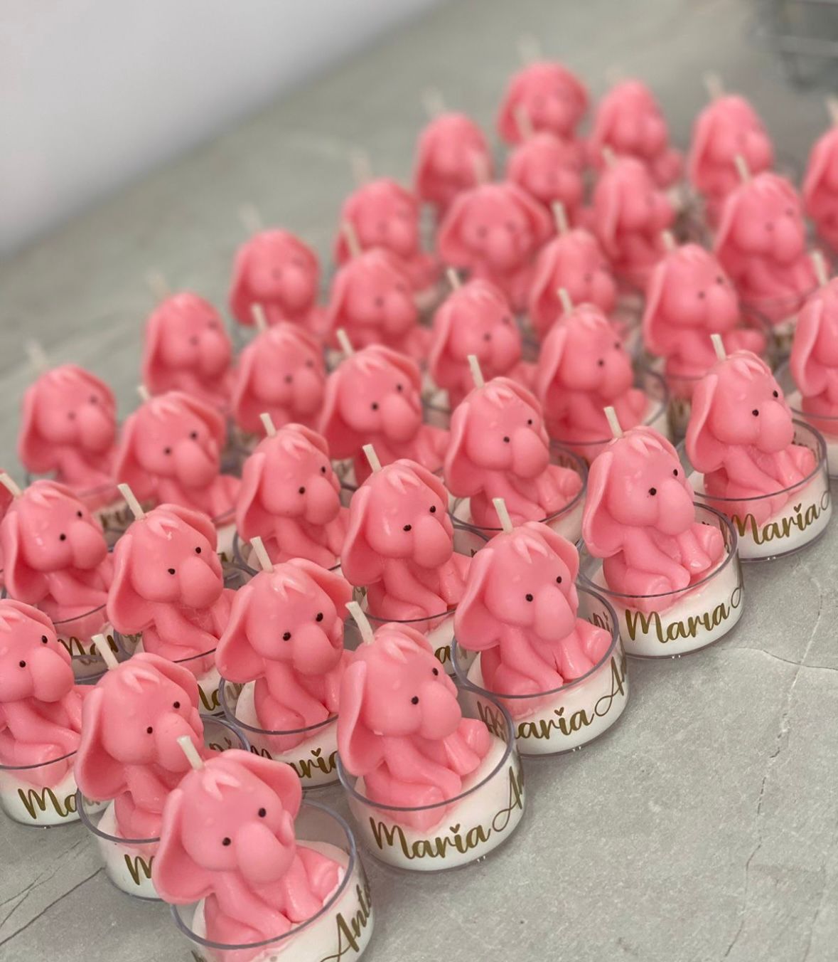 ELEFANTE EN CAJITA DE ACETATO